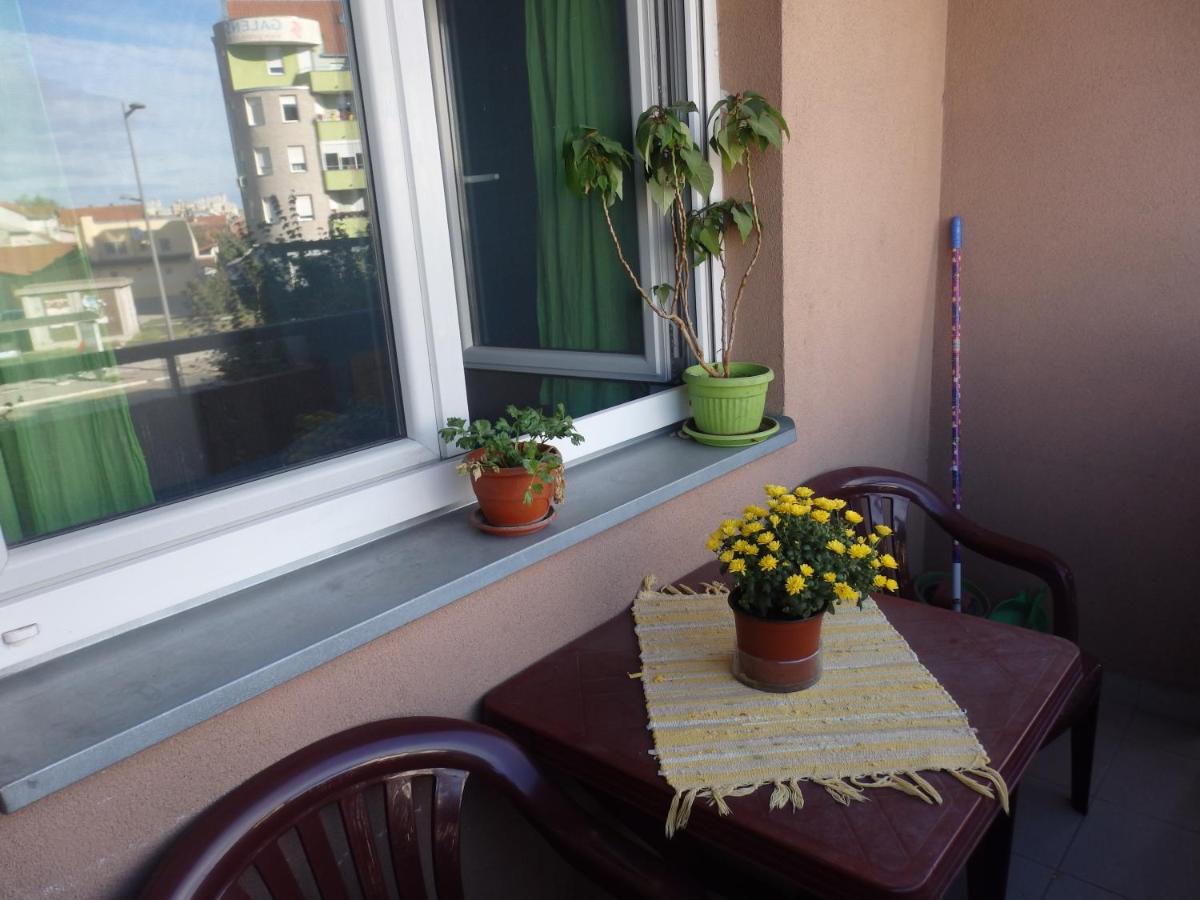 Apartment Erika 2 Újvidék Kültér fotó