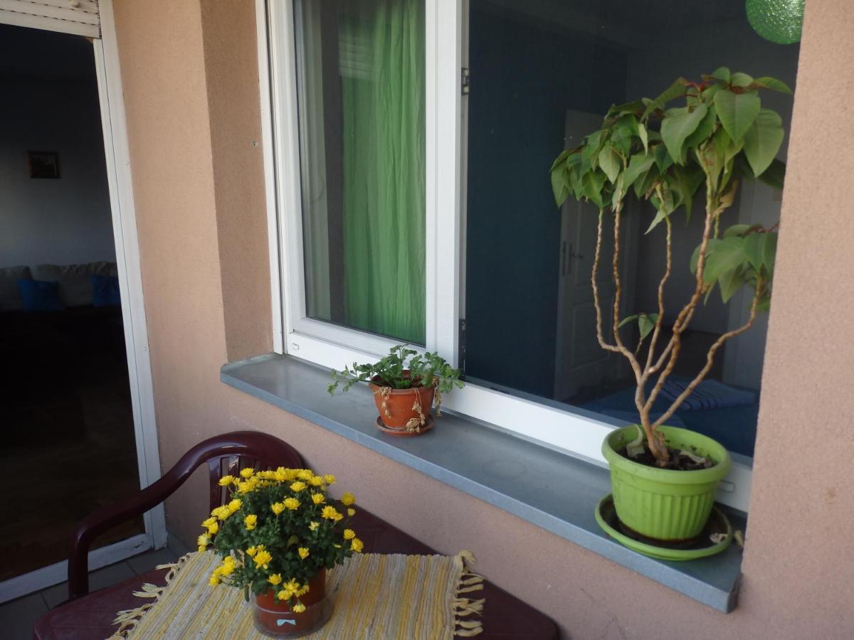 Apartment Erika 2 Újvidék Kültér fotó