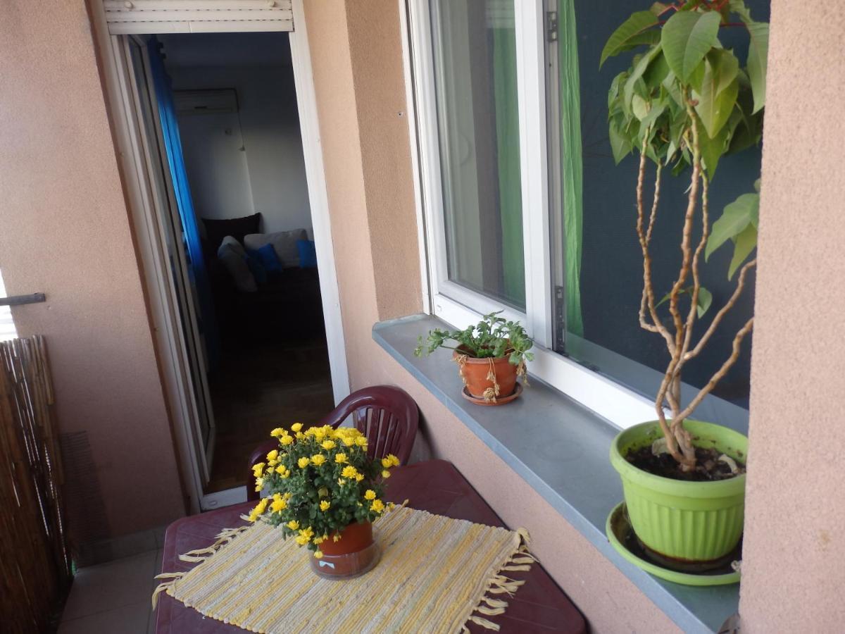 Apartment Erika 2 Újvidék Kültér fotó